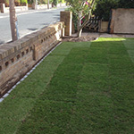 Artificial Grass Gallery 1