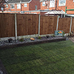 Artificial Grass Gallery 6